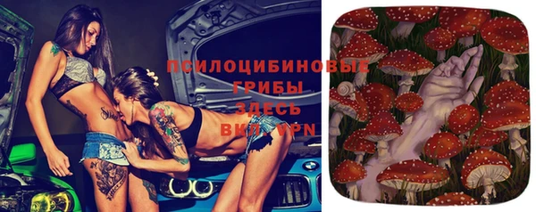 ПСИЛОЦИБИНОВЫЕ ГРИБЫ Зеленокумск