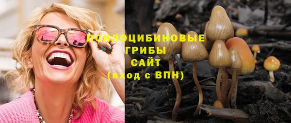 ПСИЛОЦИБИНОВЫЕ ГРИБЫ Зеленокумск