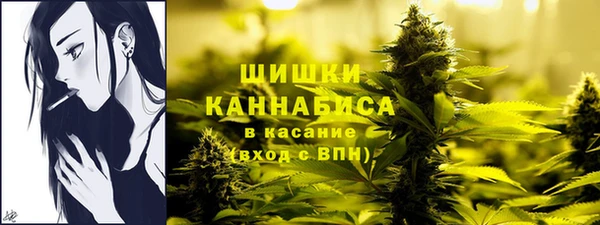 ПСИЛОЦИБИНОВЫЕ ГРИБЫ Зеленокумск
