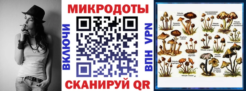 Купить где  Тайшет  Псилоцибиновые грибы Magic Shrooms 
